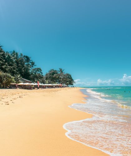 as melhores atrações turísticas de porto seguro