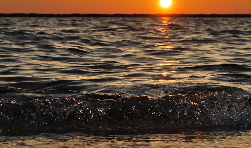 praia do forte: descubra suas belezas naturais