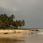 melhores praias do ceará: onde ir e o que fazer