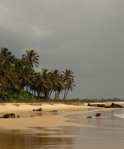 melhores praias do ceará: onde ir e o que fazer